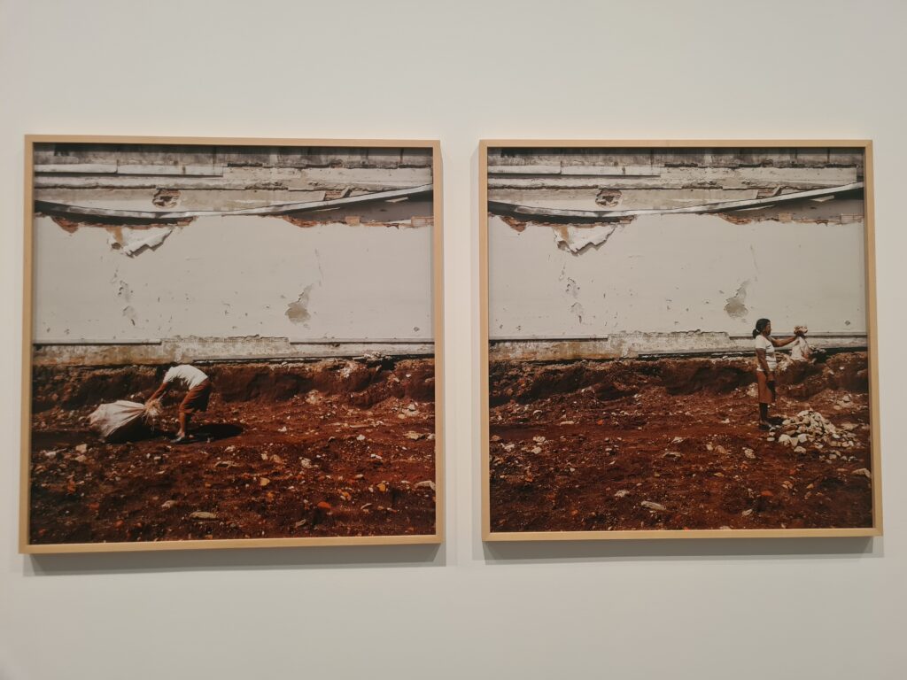 Aquesta imatge té l'atribut alt buit; el seu nom és 20221118_105545-1-1024x768.jpg