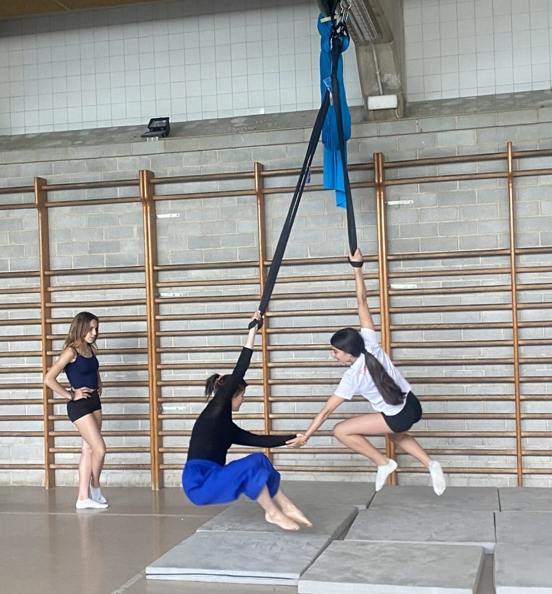Procés de creació
