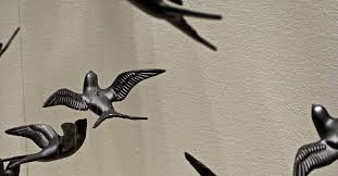Ocells sense llibertat | Juuls02 | Flickr