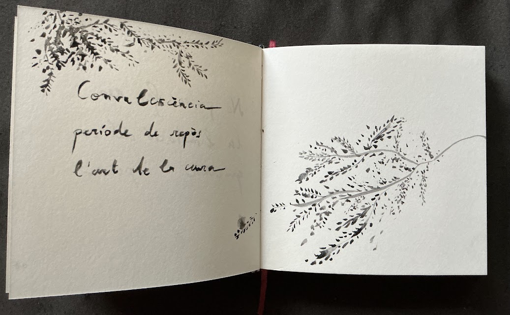 El haiku de la Laia.