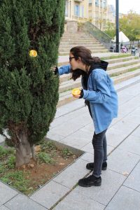 c%c2%a6pia-de-img_0708