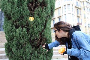 c%c2%a6pia-de-img_0718